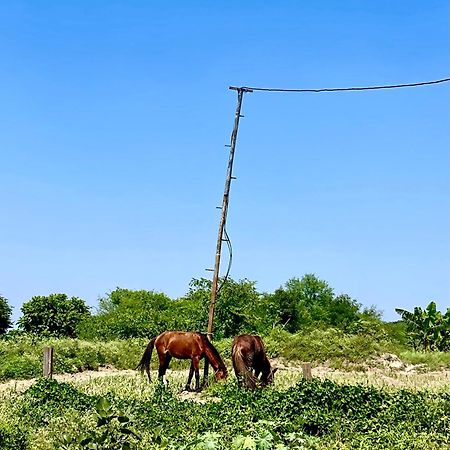Tekri Farms And Retreat Hotel อุจเจน ภายนอก รูปภาพ