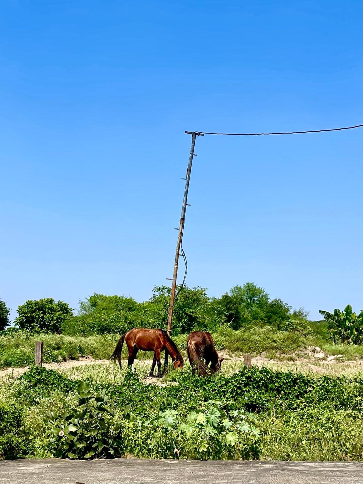 Tekri Farms And Retreat Hotel อุจเจน ภายนอก รูปภาพ